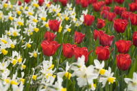 �����������������C���[�W